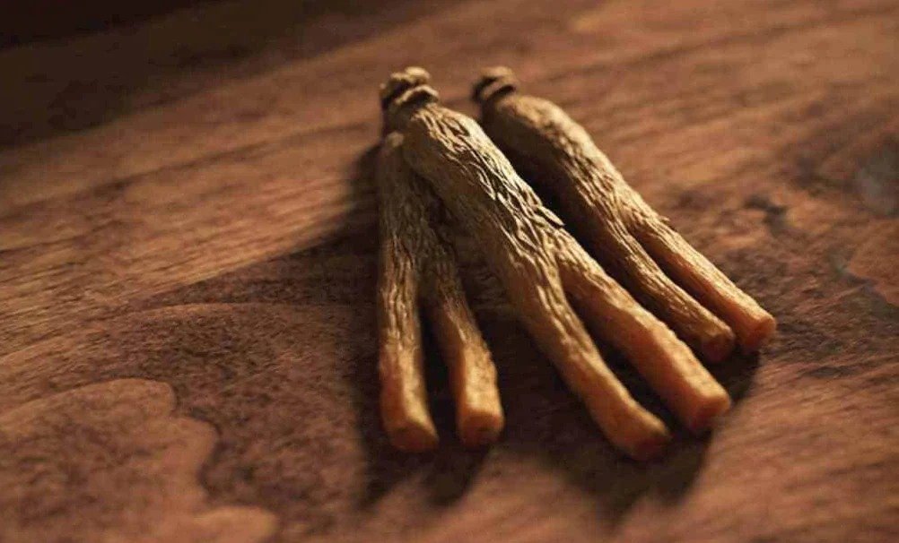 What is Korean Red Ginseng?